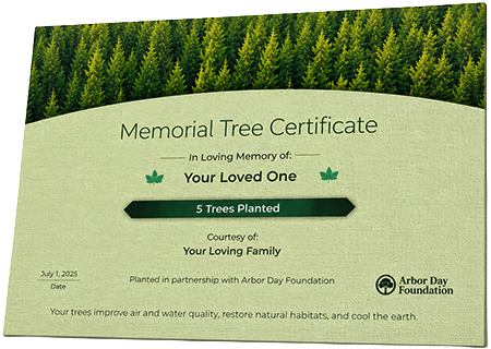 Plant Trees in Memory of Major Lloyd Parker III